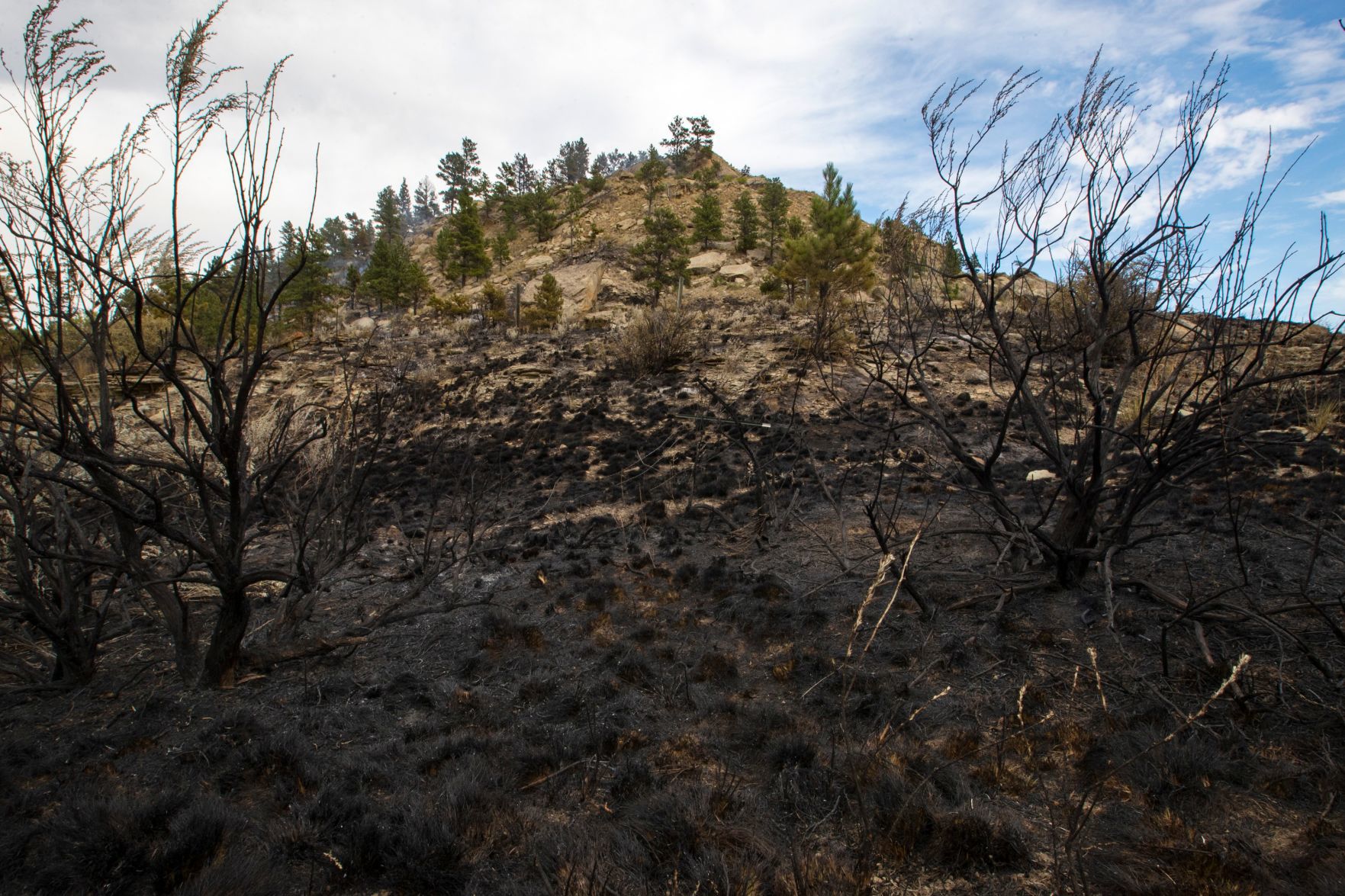 Mountain View fire